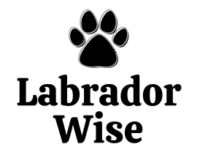 Labrador Wise