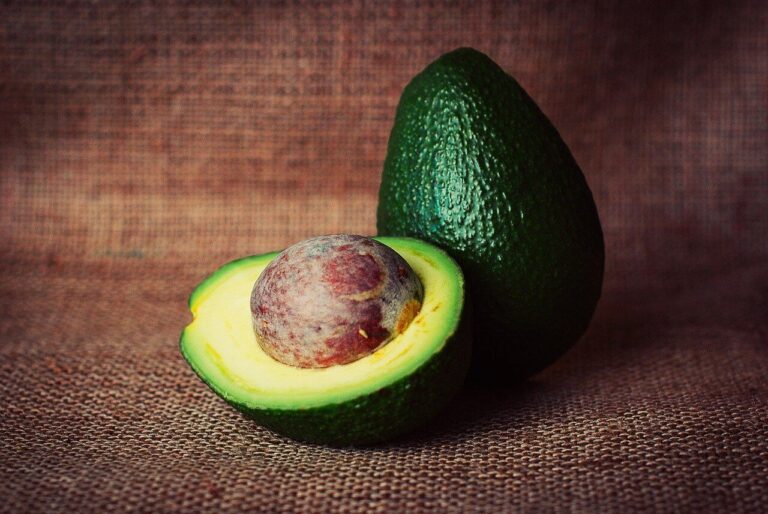Avocados and Dogs: A Toxic Combination