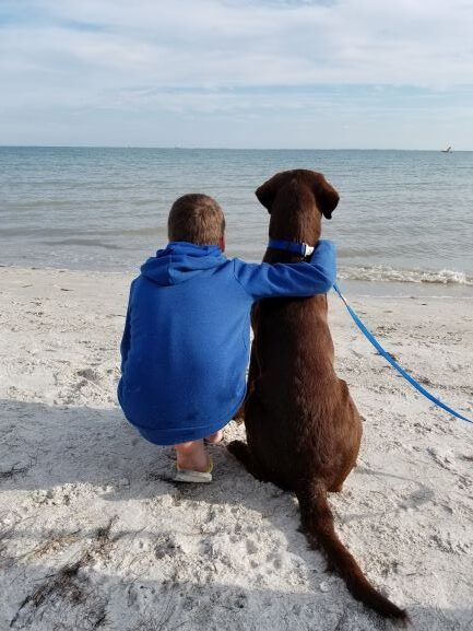 Chocolate Labrador and a boy sitting on the beach staring out at the ocean.