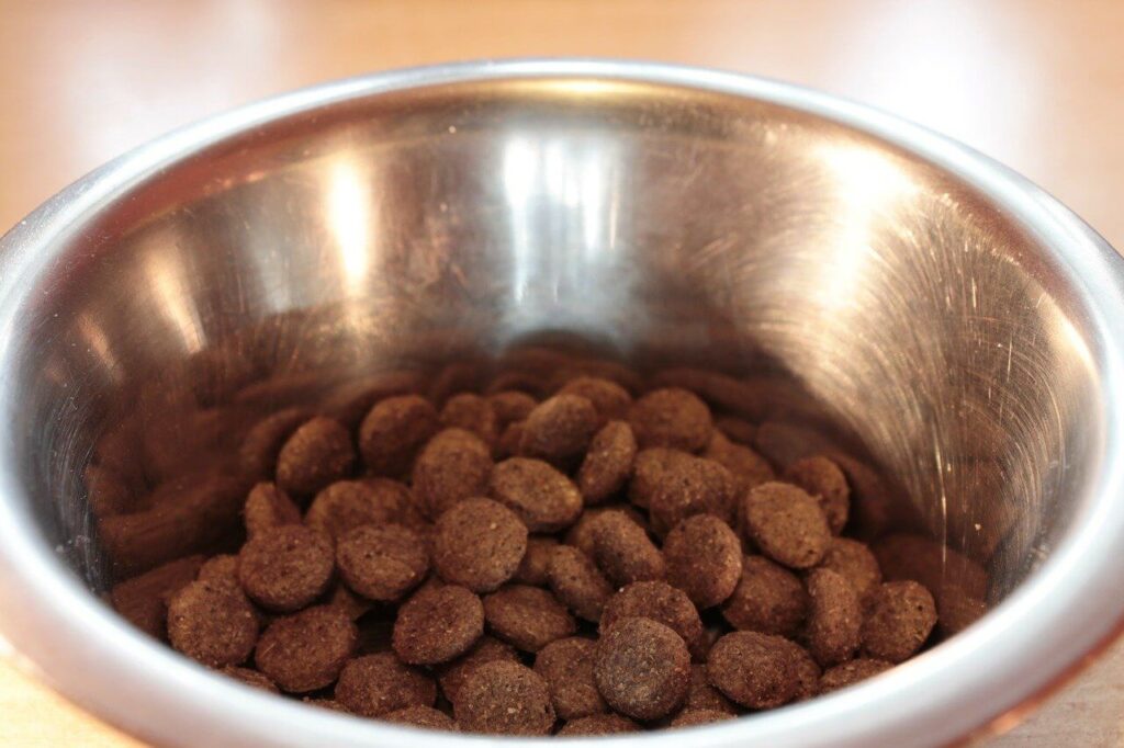 Stainless steel bowl of dry dog food to help find the best food for dogs.
