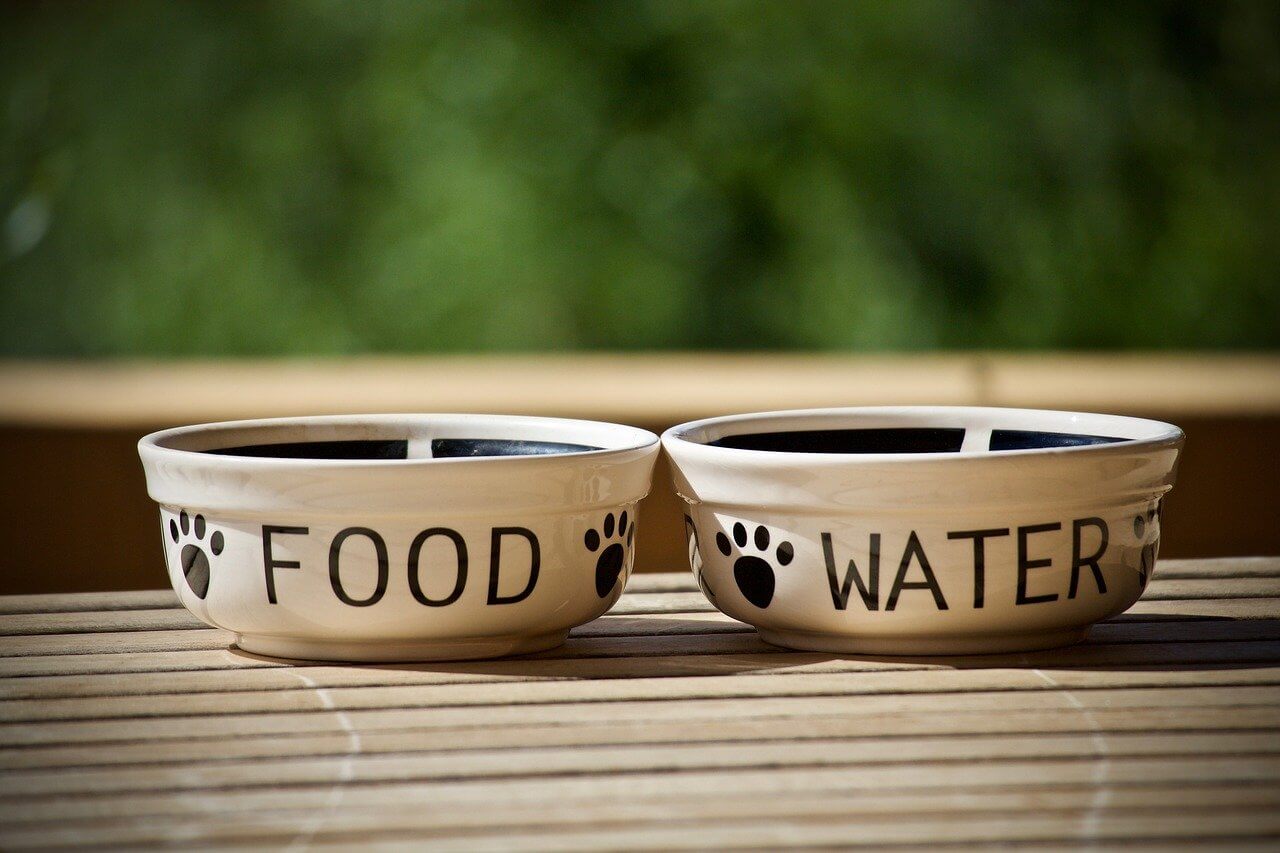 Dog food and water bowls sitting side by side.