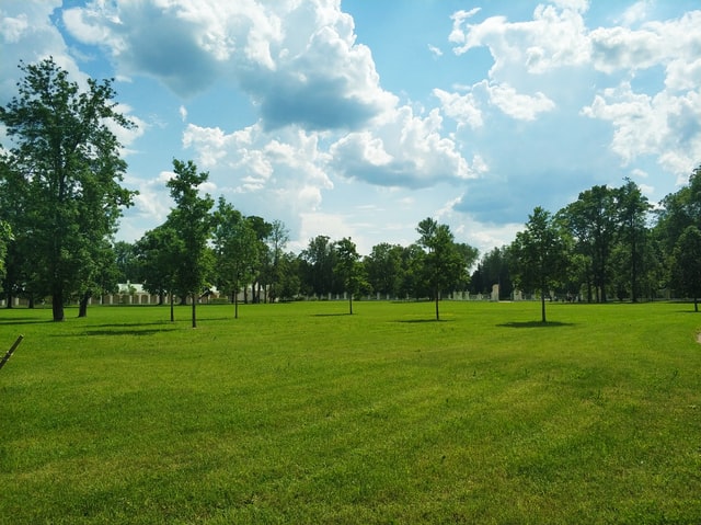 Large green park.