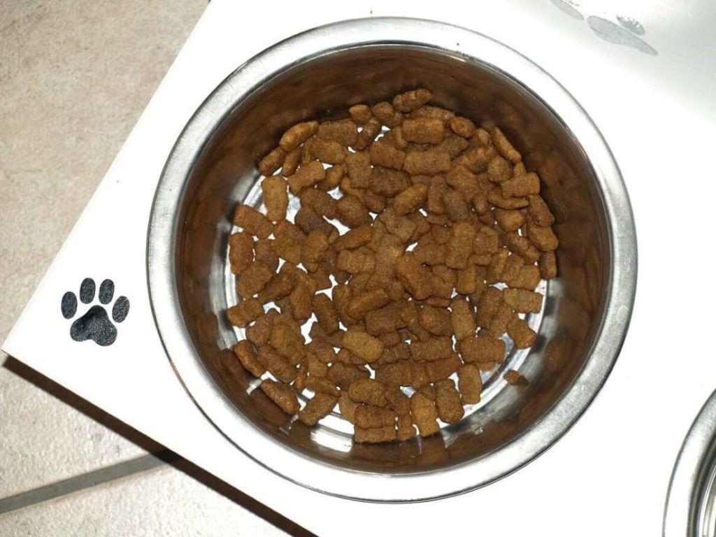 Dog food inside a dog bowl and stand with a paw print.