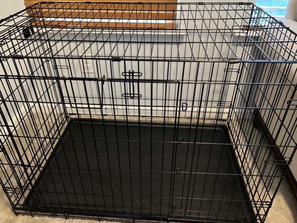 Wire dog crate for Labrador puppies.