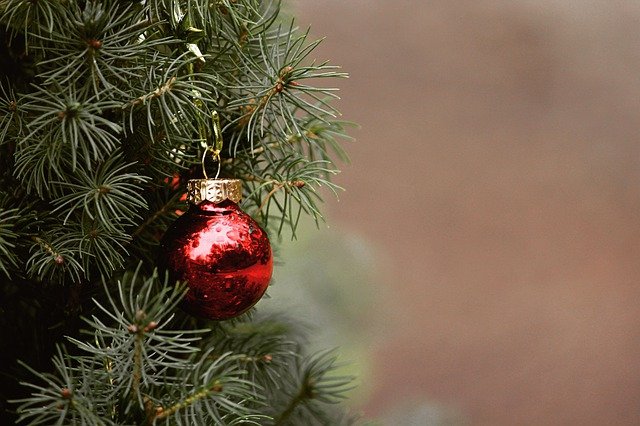 Christmas tree with a red ball ornament hanging.