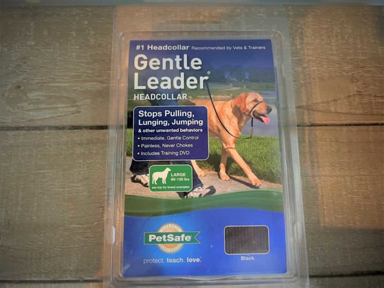Gentle Leader for Labradors: Does It Really Work?